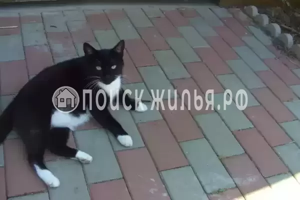 Частный сектор «Домик под ключ на Комсомольской»