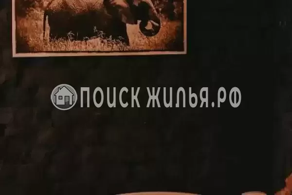 Отель «Дом с Л.Н. Толстым» Отель «Дом с Л.Н. Толстым»