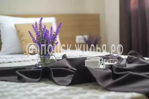 «Усадьба Власовых» «Усадьба Власовых»