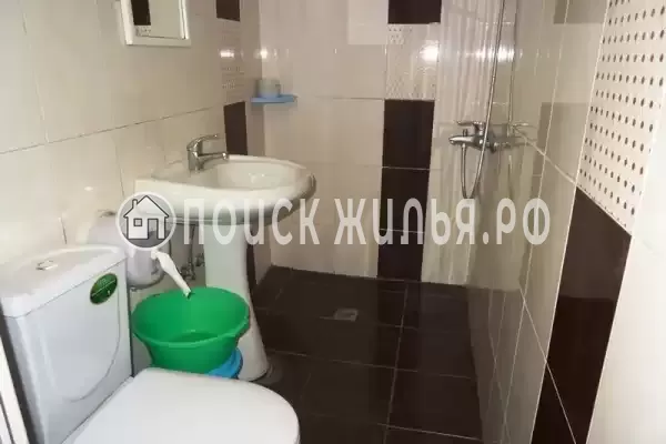 «Виноградная лоза»