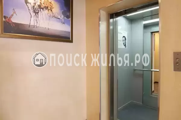 «Сальвадор»