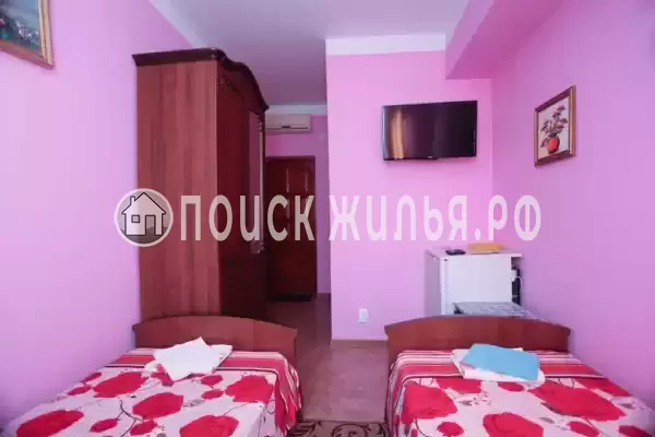 «Надежда» «Надежда»