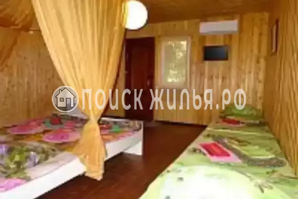 «Алита» «Алита»