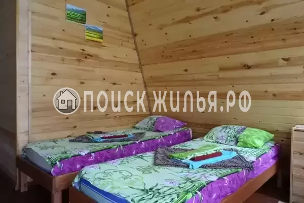 «Алита» «Алита»