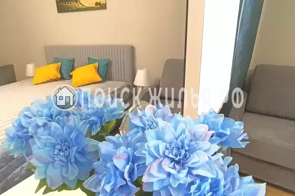 Отель «Грин Грейп SyncotelHome» Отель «Грин Грейп SyncotelHome»