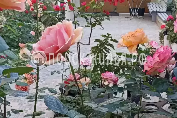 Зерновская, д.13 Зерновская, д.13