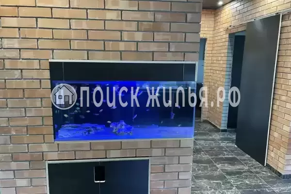 «Вайсс» «Вайсс»