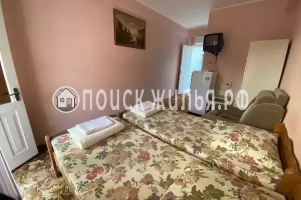 «Светлана» «Светлана»