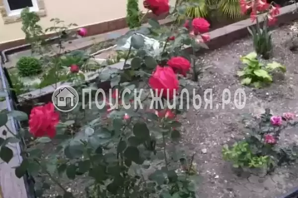 «Ставрополье» «Ставрополье»