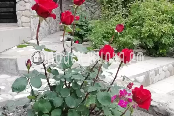 Частный сектор «Фортуна» Частный сектор «Фортуна»