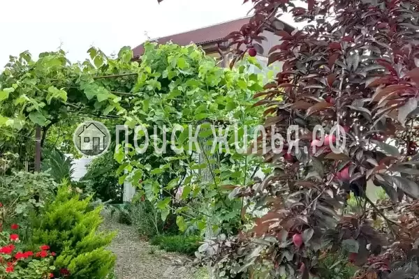 Гостевой дом «Бригантина» Гостевой дом «Бригантина»