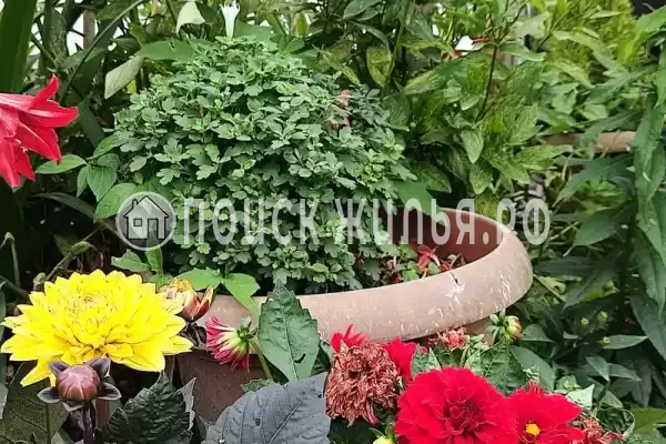 Гостевой дом «Бригантина» Гостевой дом «Бригантина»