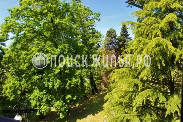 «Жемчужина» «Жемчужина»