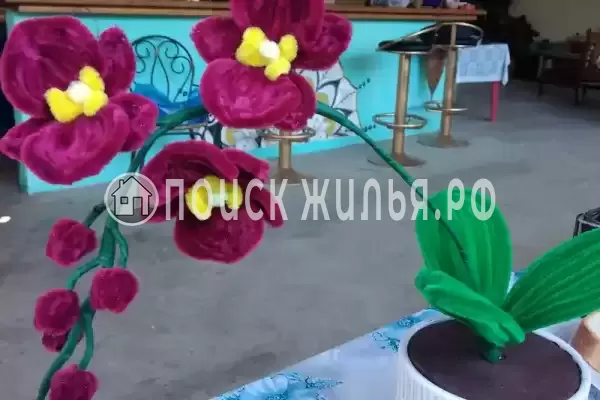 Гостевой дом «Лаура»