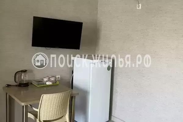 «Верные друзья» «Верные друзья»