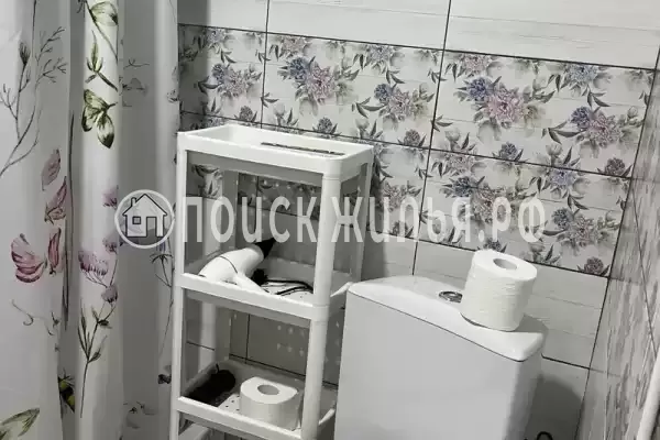 «Верные друзья» «Верные друзья»