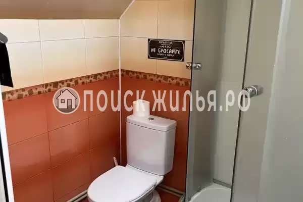 «Верные друзья» «Верные друзья»