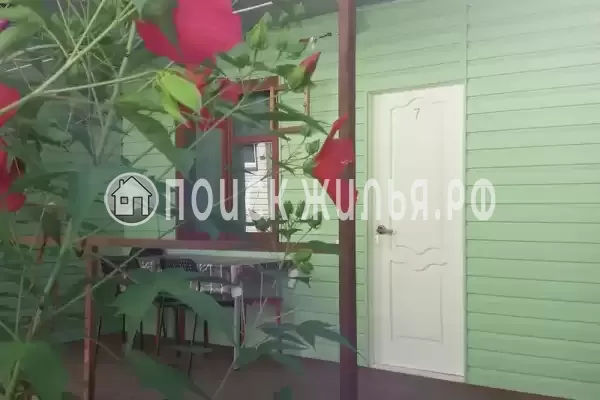 «Лето» «Лето»