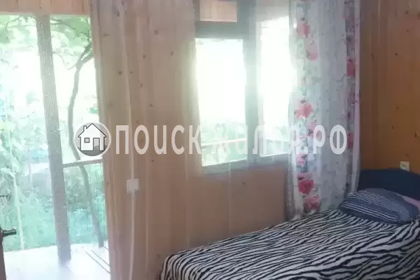 «Лето» «Лето»