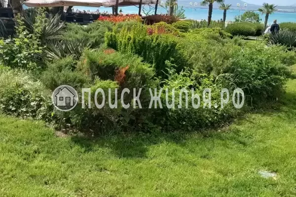Квартира «1-комнатная на берегу моря»