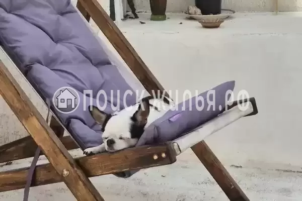Дом под ключ «С бассейном» Дом под ключ «С бассейном»