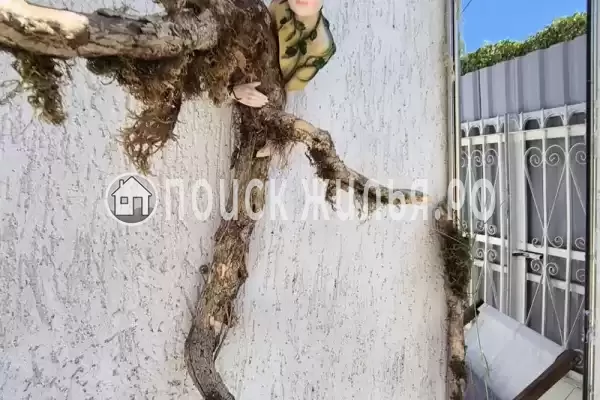 Дом под ключ «С бассейном» Дом под ключ «С бассейном»