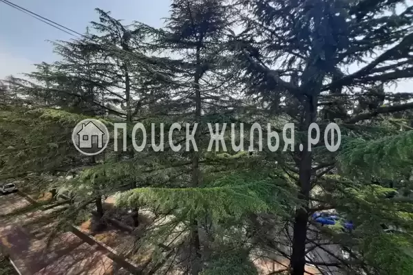 Квартира «Х комнатная квартира»