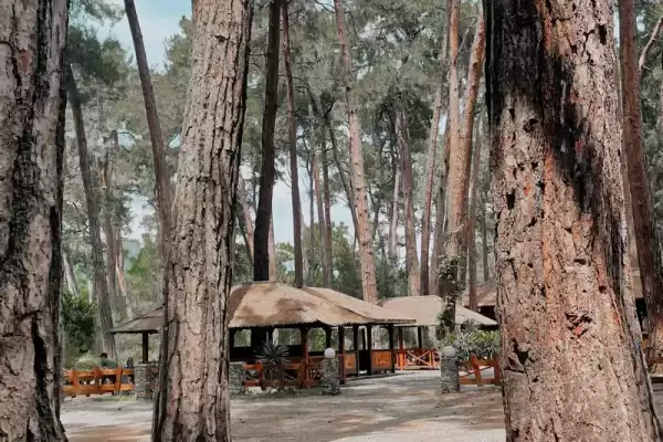 Частный сектор «Домик A-frame» Частный сектор «Домик A-frame»