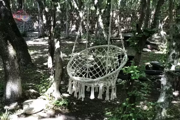 Гостевой дом «Forest house» Гостевой дом «Forest house»