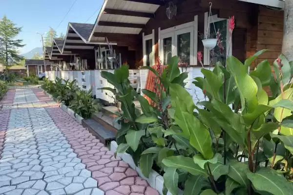 Частный сектор «Eco House Pitiunt» Частный сектор «Eco House Pitiunt»