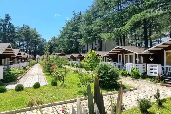 Частный сектор «Eco House Pitiunt» Частный сектор «Eco House Pitiunt»