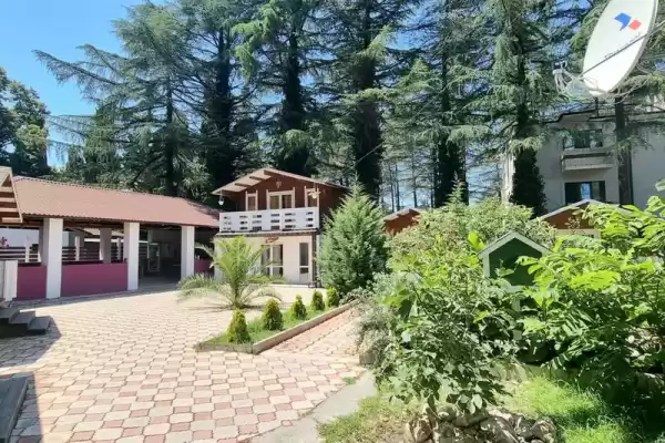 Частный сектор «Eco House Pitiunt» Частный сектор «Eco House Pitiunt»