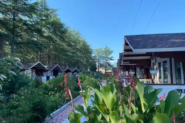 Частный сектор «Eco House Pitiunt» Частный сектор «Eco House Pitiunt»