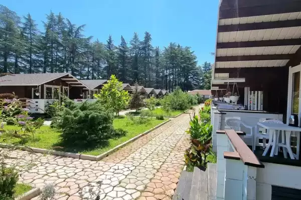 Частный сектор «Eco House Pitiunt» Частный сектор «Eco House Pitiunt»