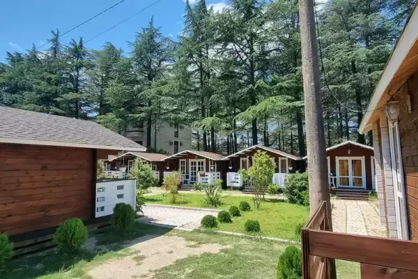 Частный сектор «Eco House Pitiunt» Частный сектор «Eco House Pitiunt»