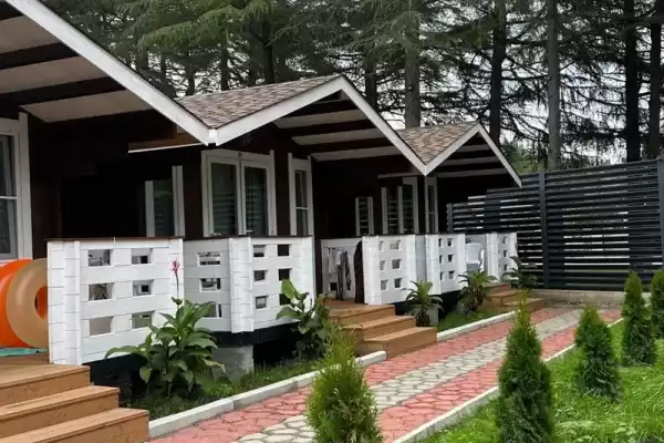 Частный сектор «Eco House Pitiunt» Частный сектор «Eco House Pitiunt»