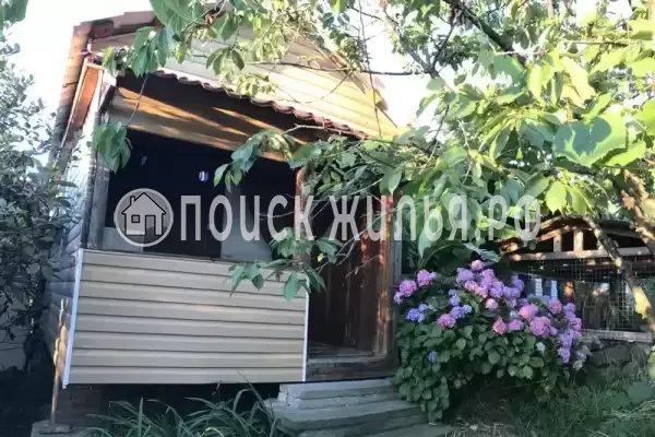 «У Надежды» «У Надежды»