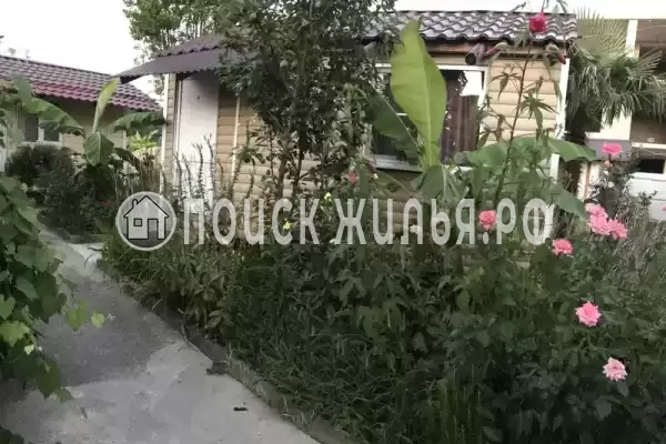 «У Надежды» «У Надежды»