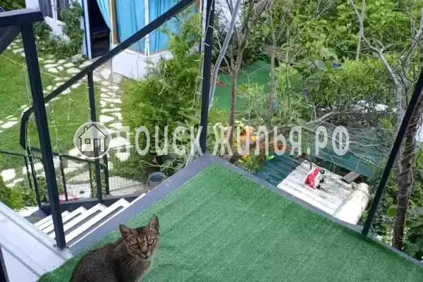 «У Динозавра»