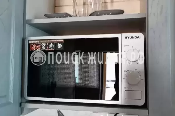 «Лес и море» «Лес и море»