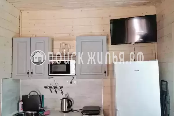 «Лес и море» «Лес и море»