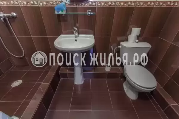 «Фазелис» «Фазелис»