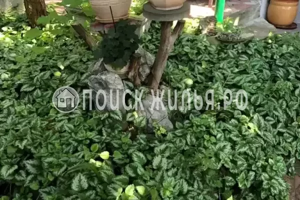 «На победы»