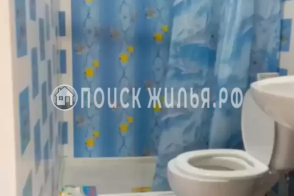 «Алина» «Алина»