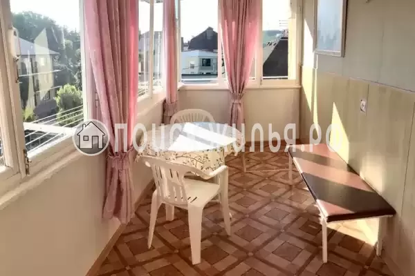 «Дельфин» «Дельфин»