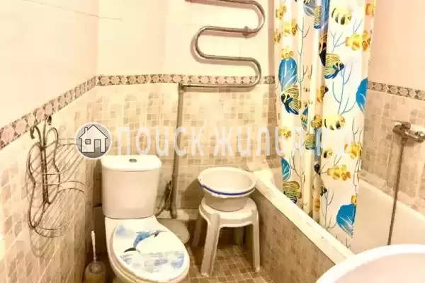 «Дельфин» «Дельфин»