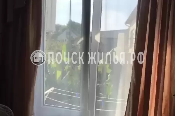 «Дельфин» «Дельфин»