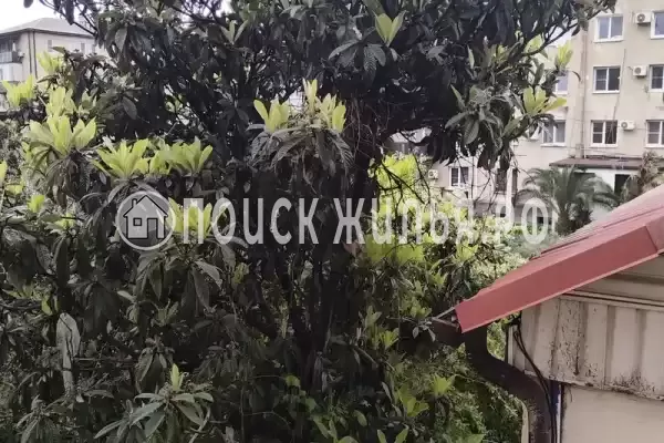 Частный сектор «У Сергея и Оксаны» Частный сектор «У Сергея и Оксаны»