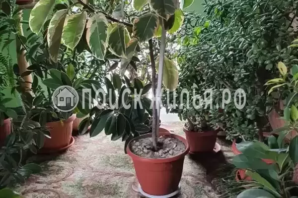 Частный сектор «Приветливый»