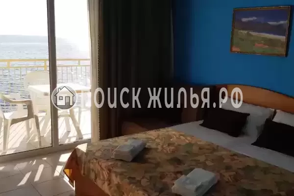 «Место под солнцем» «Место под солнцем»